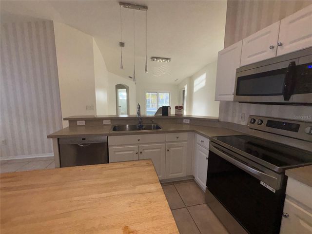 10132 HEATHER SOUND DRIVE, Tampa, FL 33647