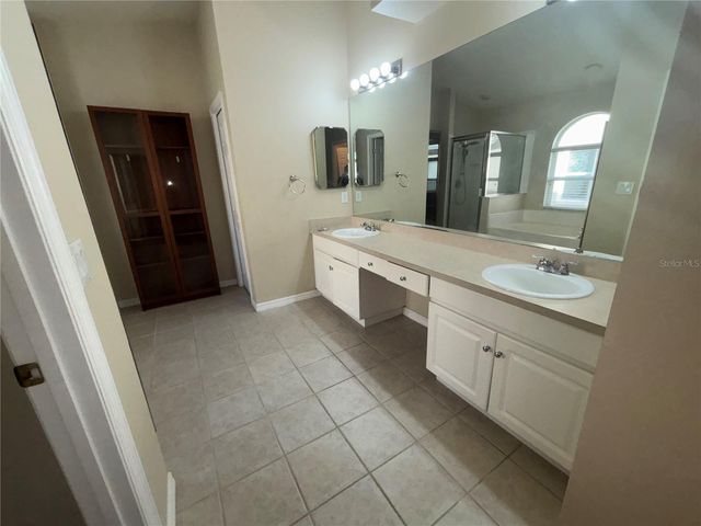 10132 HEATHER SOUND DRIVE, Tampa, FL 33647