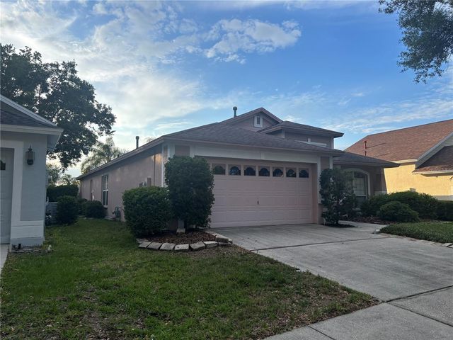 10132 HEATHER SOUND DRIVE, Tampa, FL 33647