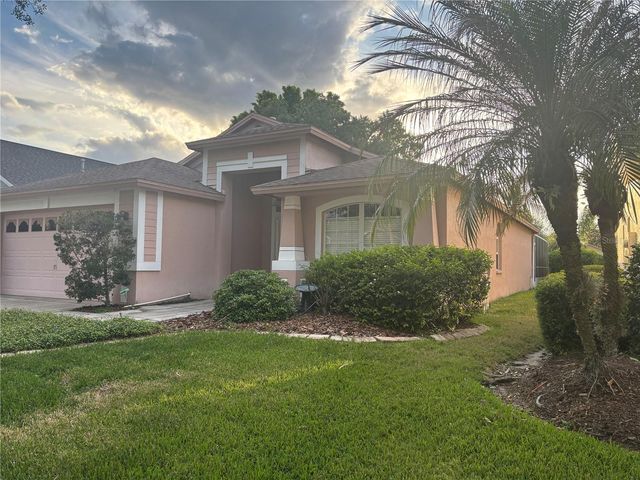 10132 HEATHER SOUND DRIVE, Tampa, FL 33647