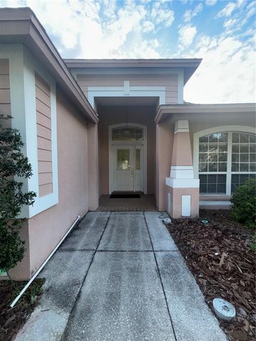 10132 HEATHER SOUND DRIVE, Tampa, FL 33647