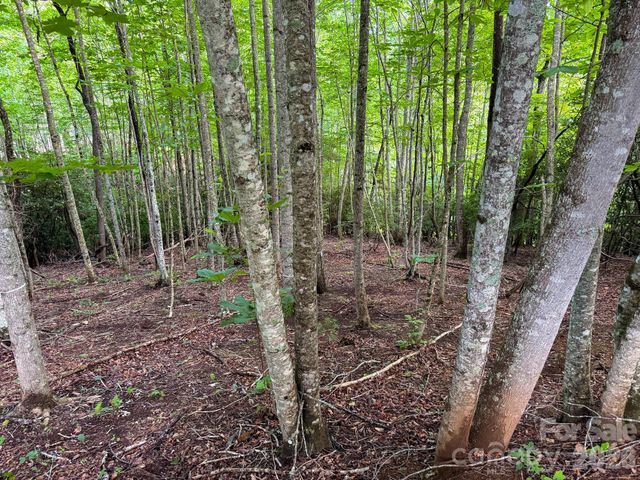 724 Streamside Drive, Arden, NC 28704