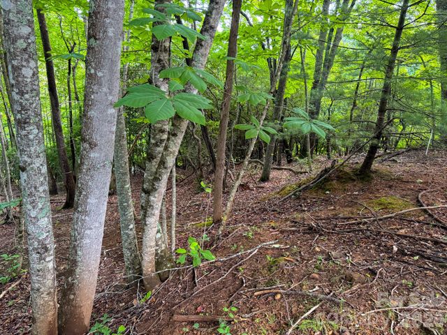 724 Streamside Drive, Arden, NC 28704