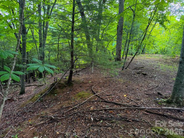 724 Streamside Drive, Arden, NC 28704