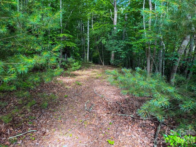 724 Streamside Drive, Arden, NC 28704