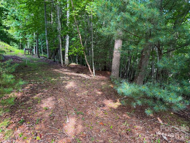 724 Streamside Drive, Arden, NC 28704