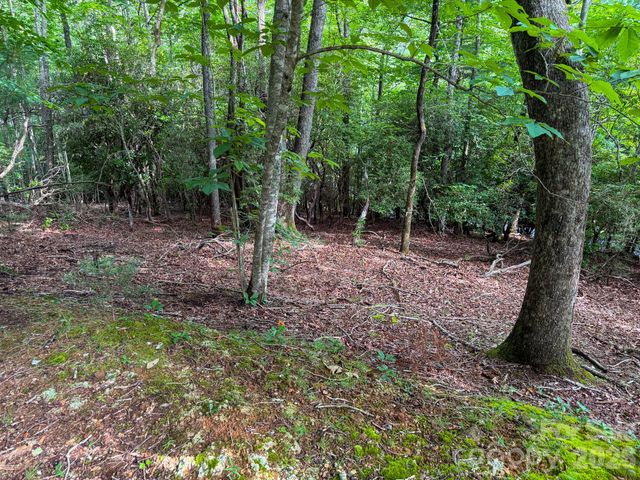 724 Streamside Drive, Arden, NC 28704
