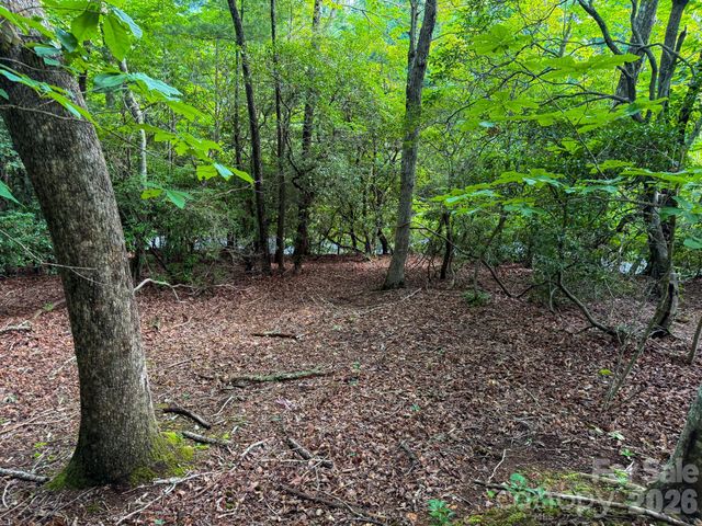 724 Streamside Drive, Arden, NC 28704