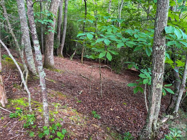 724 Streamside Drive, Arden, NC 28704