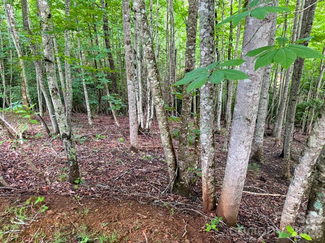 724 Streamside Drive, Arden, NC 28704