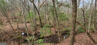 LOT 18 Gray Fox Trail, Blairsville, GA 30512