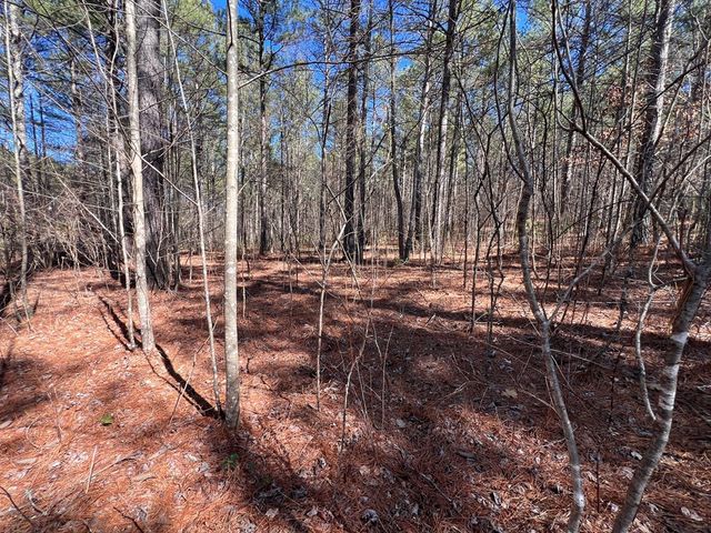 Lot 50 Deyton Drive, Blairsville, GA 30512