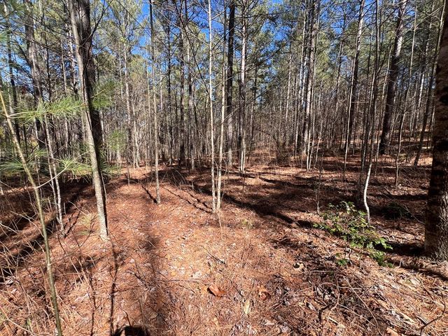 Lot 50 Deyton Drive, Blairsville, GA 30512