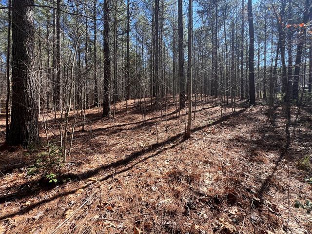 Lot 50 Deyton Drive, Blairsville, GA 30512