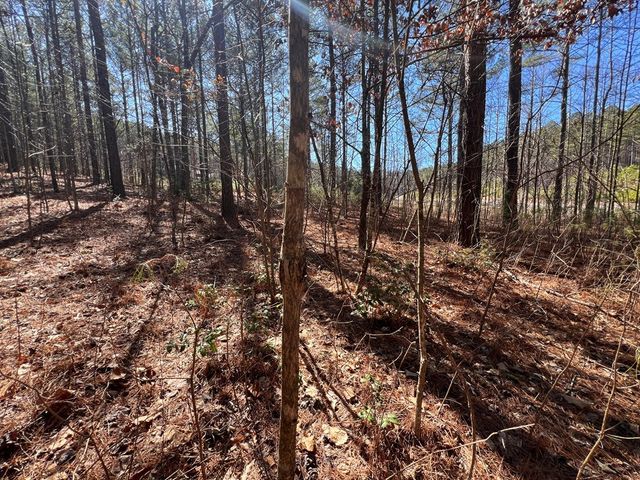 Lot 50 Deyton Drive, Blairsville, GA 30512