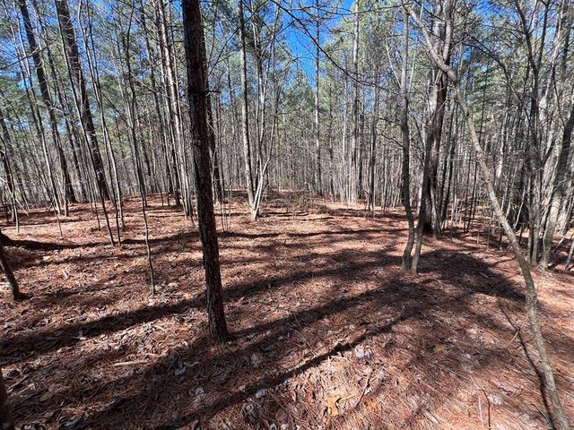 Lot 50 Deyton Drive, Blairsville, GA 30512
