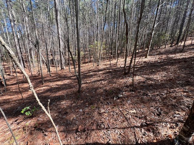 Lot 50 Deyton Drive, Blairsville, GA 30512