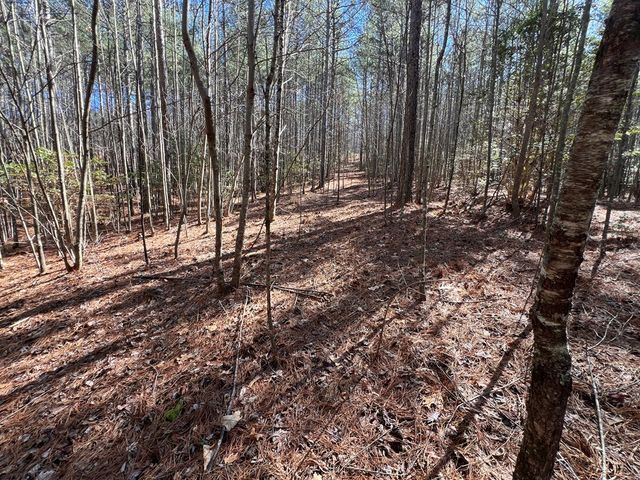 Lot 50 Deyton Drive, Blairsville, GA 30512