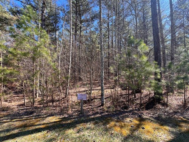 Lot 50 Deyton Drive, Blairsville, GA 30512