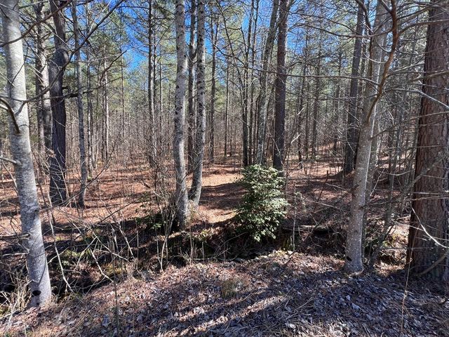 Lot 50 Deyton Drive, Blairsville, GA 30512
