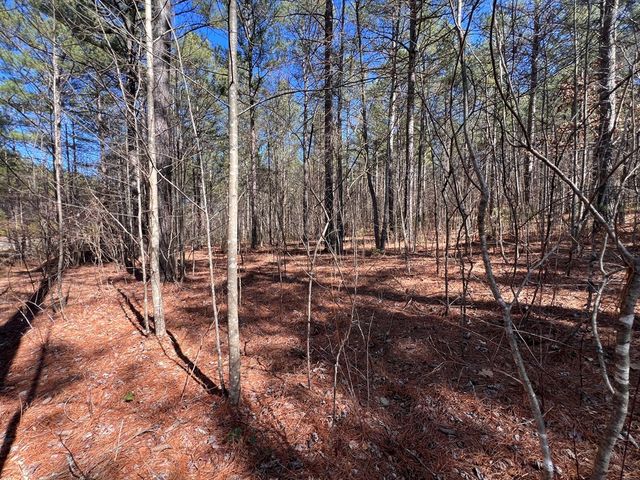 Lot 50 Deyton Drive, Blairsville, GA 30512