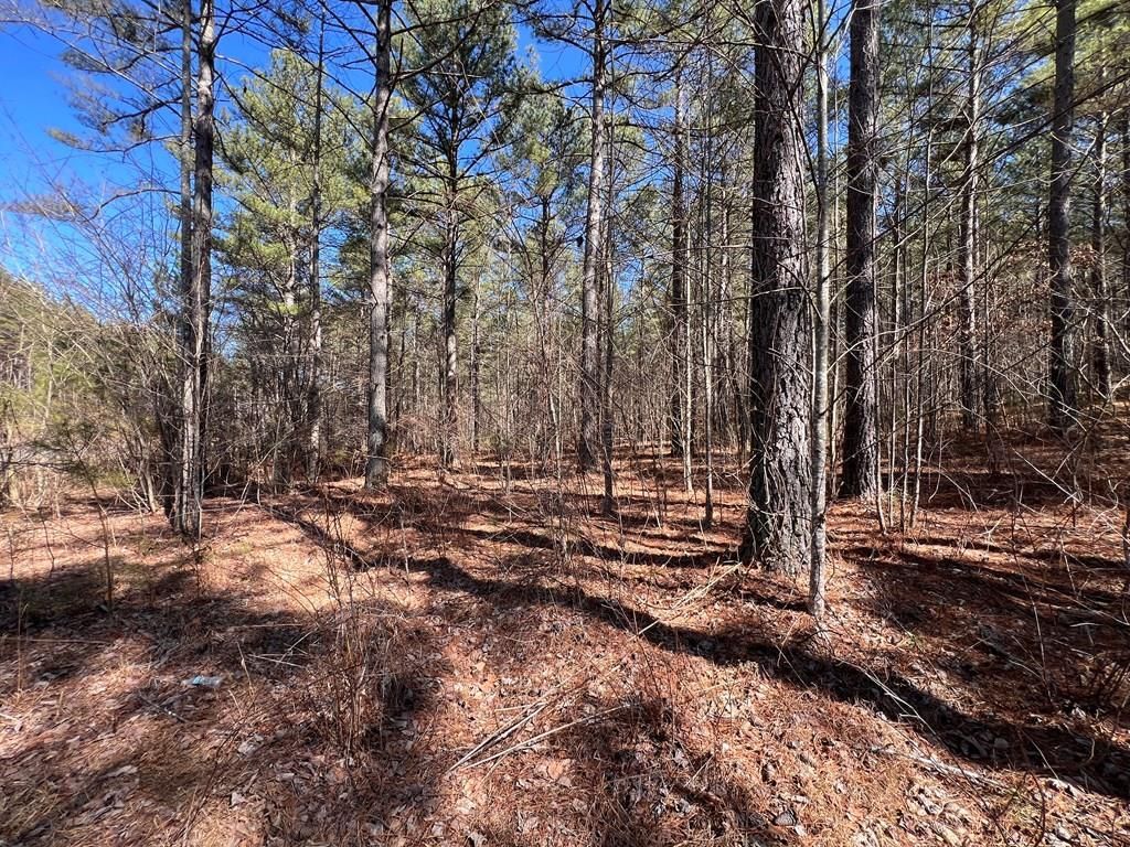 Lot 50 Deyton Drive, Blairsville, GA 30512