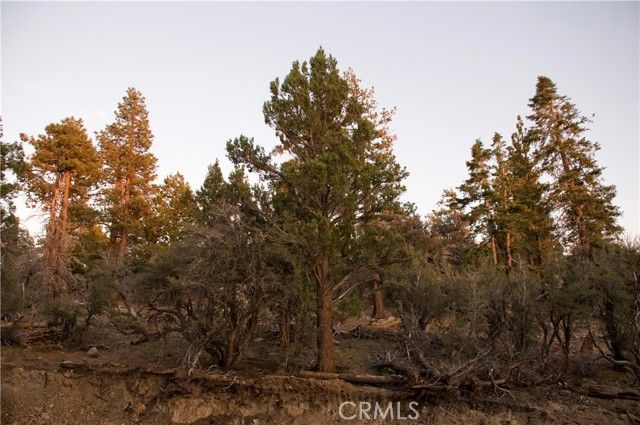 4295 Noodle, Angelus Oaks, CA 92305