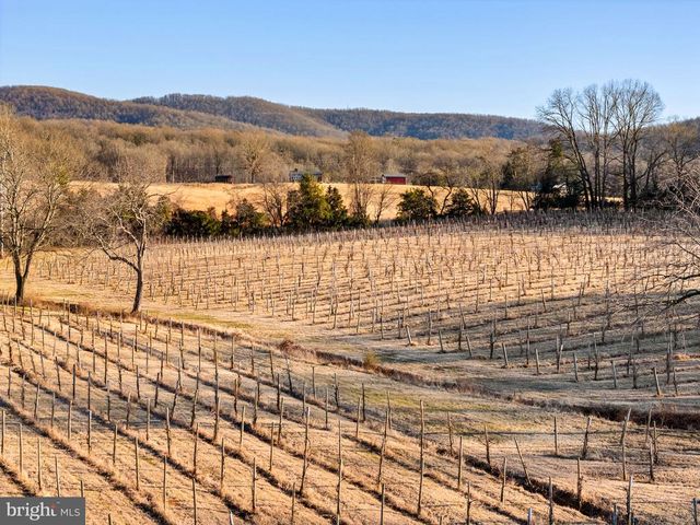 4500 WINERY LN, Barboursville, VA 22923