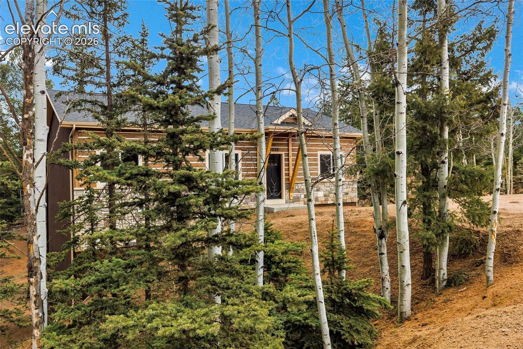 1279 N Mountain Estates Road, Florissant, CO 80816 — photo 3