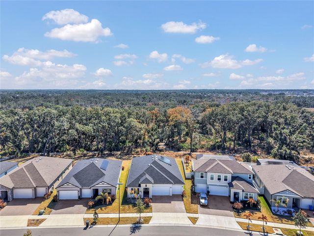 12853 BERGSTROM BAY DRIVE, Riverview, FL 33579