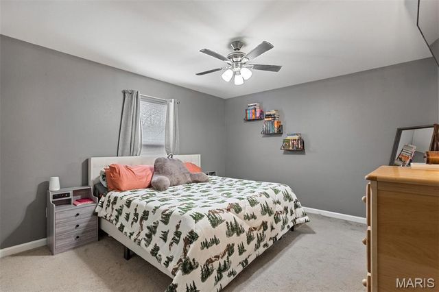 319 Hawks Perch Place, Hillsboro, MO 63050