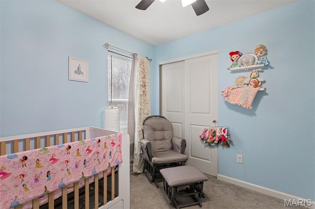 319 Hawks Perch Place, Hillsboro, MO 63050