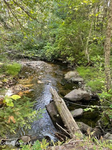 1094 Fortyniner LN, Bonners Ferry, ID 83805