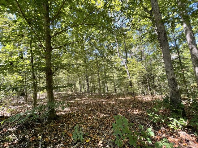 321 Lowery Cemetery Rd, Cumberland City, TN 37050