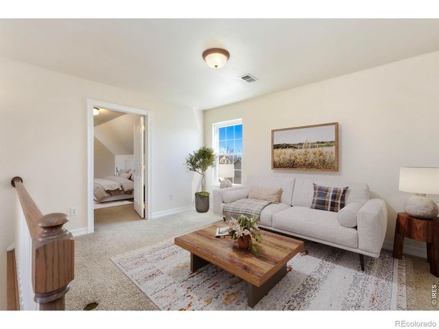 1119 Founders Circle, Windsor, CO 80550