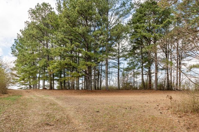 489 Old Jackson Hwy, Loretto, TN 38469