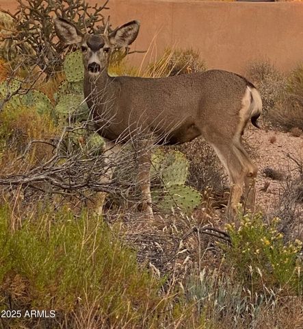 9831 E GRANITE PEAK Trail, Scottsdale, AZ 85262