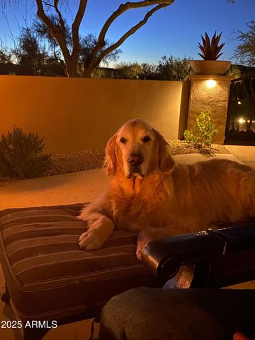 9831 E GRANITE PEAK Trail, Scottsdale, AZ 85262