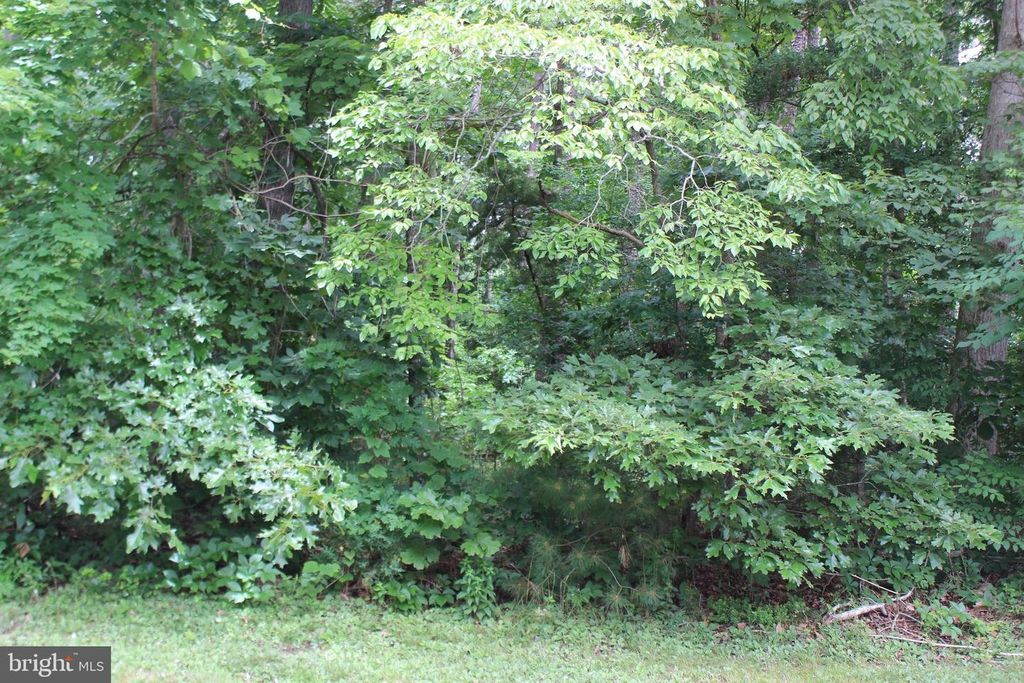 2028 MAYFLOWER DR, Greenbackville, VA 23356