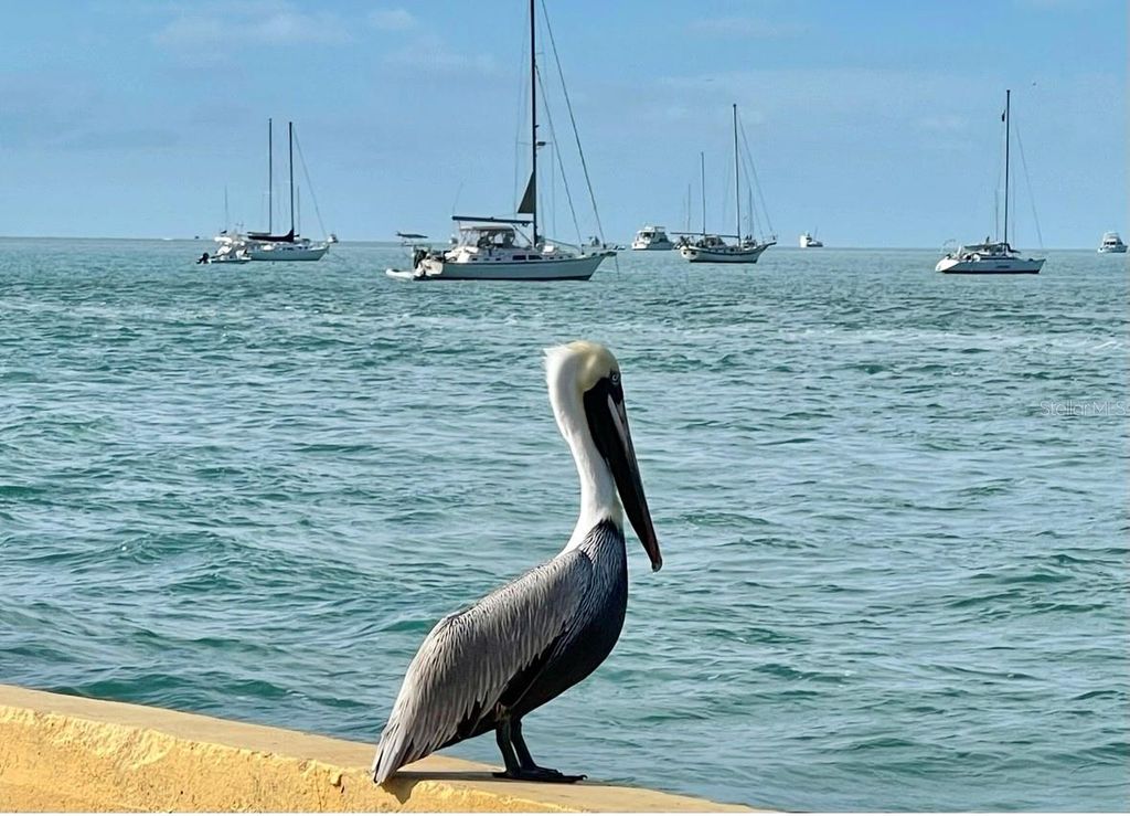 Image 46 of property listing at 1119 SIMONTON STREET A1, A2, C1, Key West, FL 33040