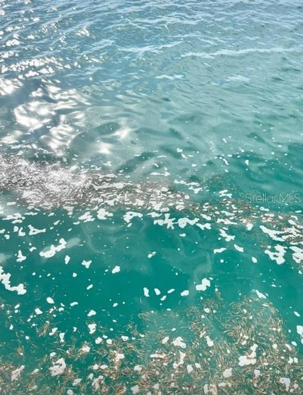 Image 47 of property listing at 1119 SIMONTON STREET A1, A2, C1, Key West, FL 33040