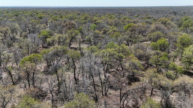 TBD TRUMBO RD, Pleasanton, TX 78065