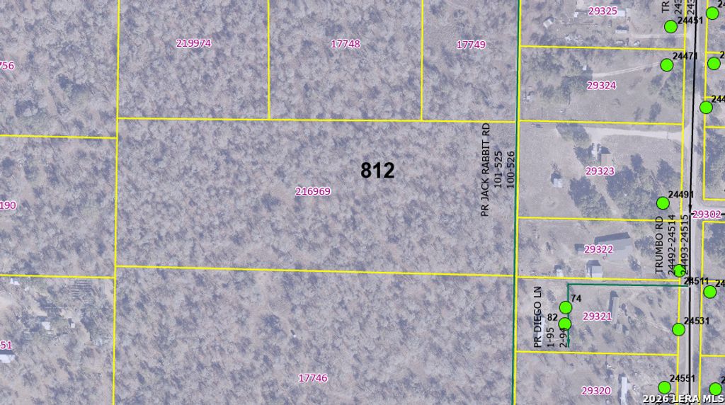 TBD TRUMBO RD, Pleasanton, TX 78065