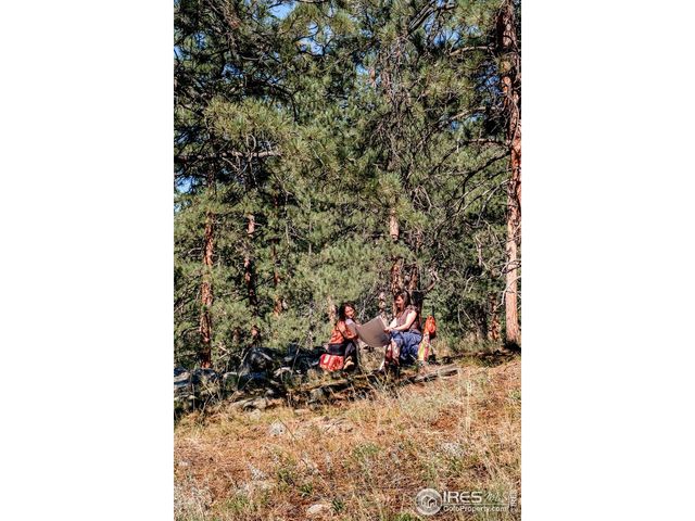 695 Cutter Ln, Boulder, CO 80302