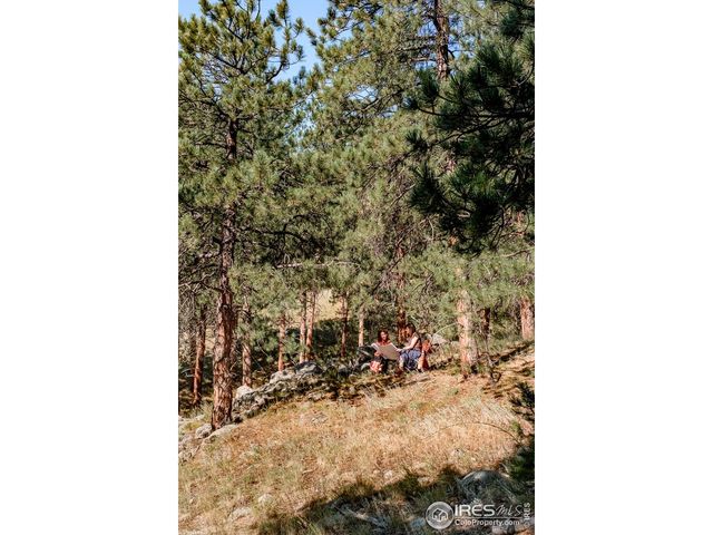 695 Cutter Ln, Boulder, CO 80302