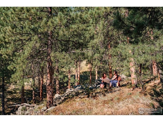 695 Cutter Ln, Boulder, CO 80302