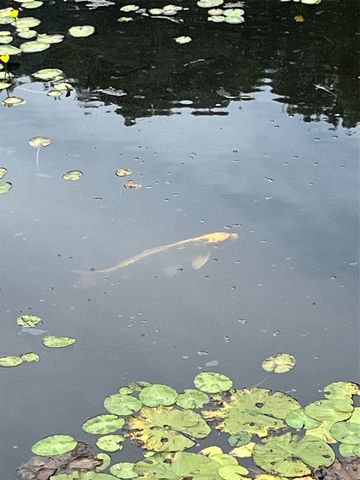 14634 S MOSIERTOWN Road, Meadville, PA 16335