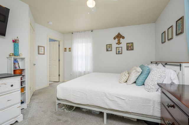 1178 Windsor Park Drive, Fruita, CO 81521