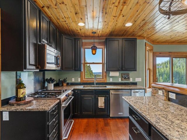 20 Silk Sisters Pl, Fairplay, CO 80440