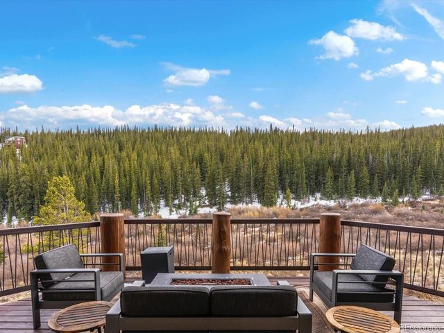 20 Silk Sisters Pl, Fairplay, CO 80440
